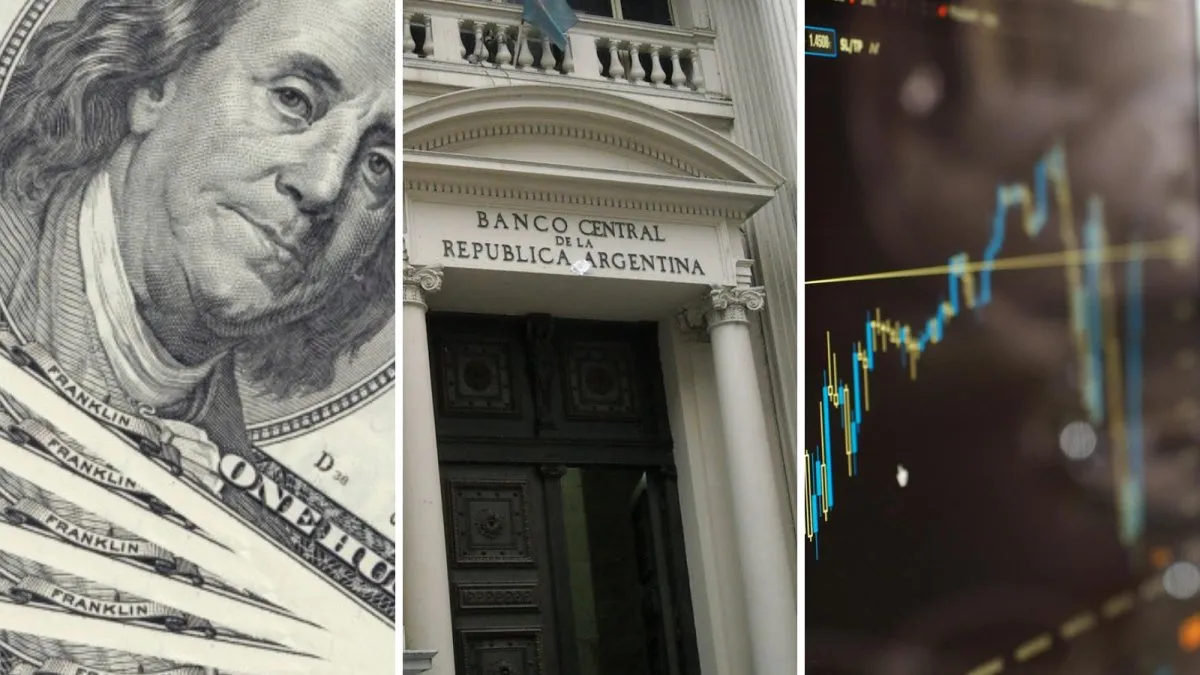 El Tesoro vuelve al mercado con compras fuertes de dólares, tras el golpe a las reservas por la deuda