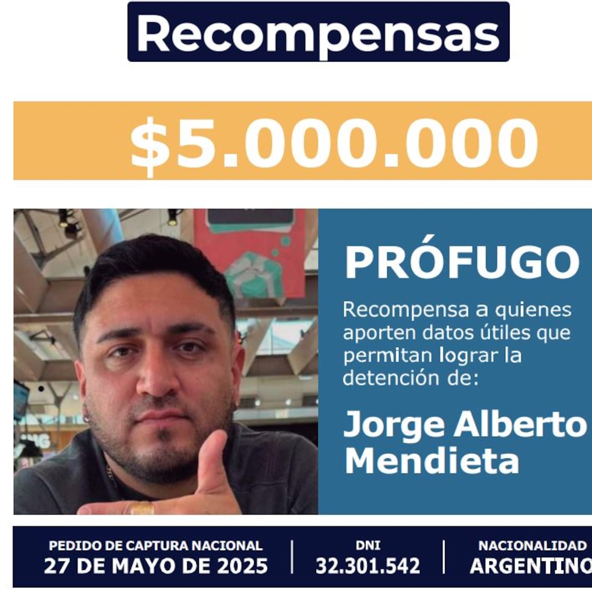 image preview(placeholder)