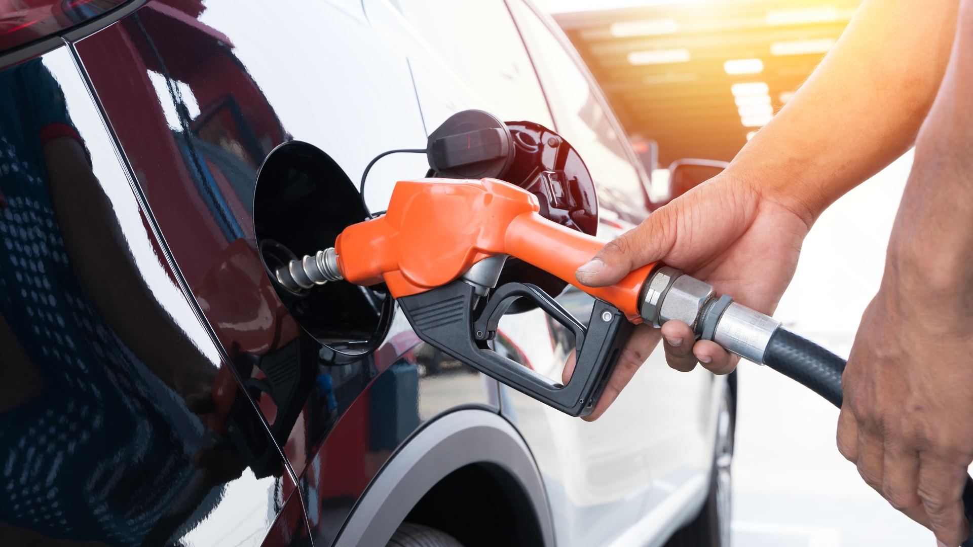 Image Preview (Placeholder)