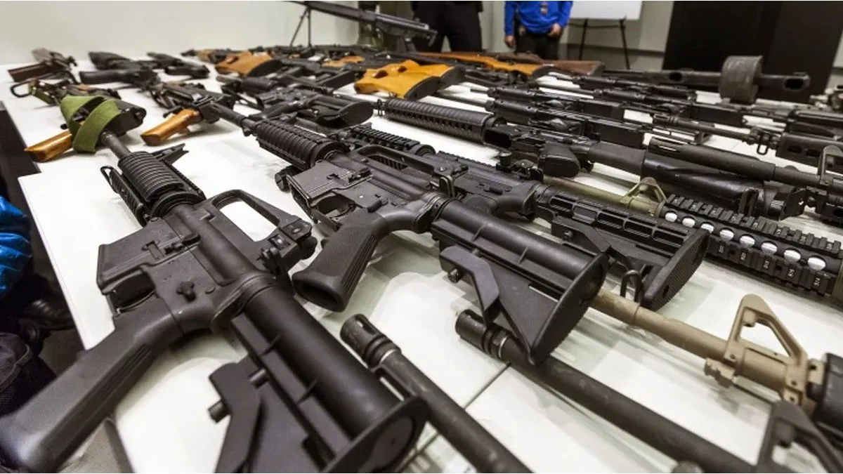 El Gobierno modificó el sistema de registro de armas en fuerzas federales