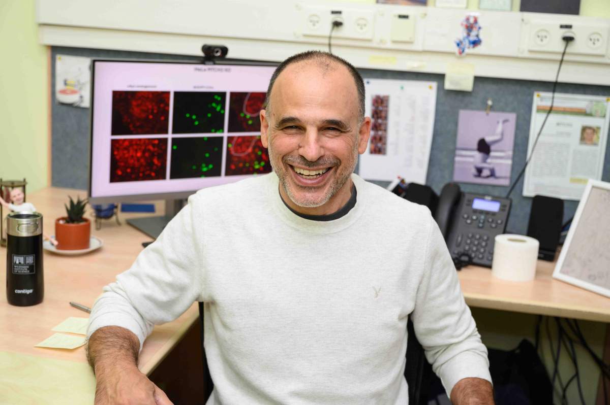 Descubren una proteína que estimula el metabolismo y ayuda a quemar grasa