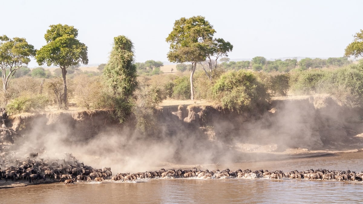 Tanzania de punta a punta: tres parques, un cráter y la vida que late en las aldeas del norte
