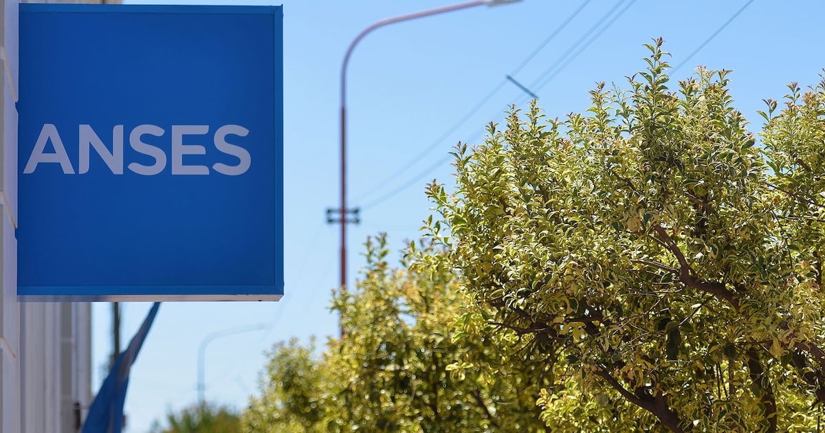Cronograma de pagos de ANSES para octubre: todas las fechas asignadas a los DNI terminados en 2