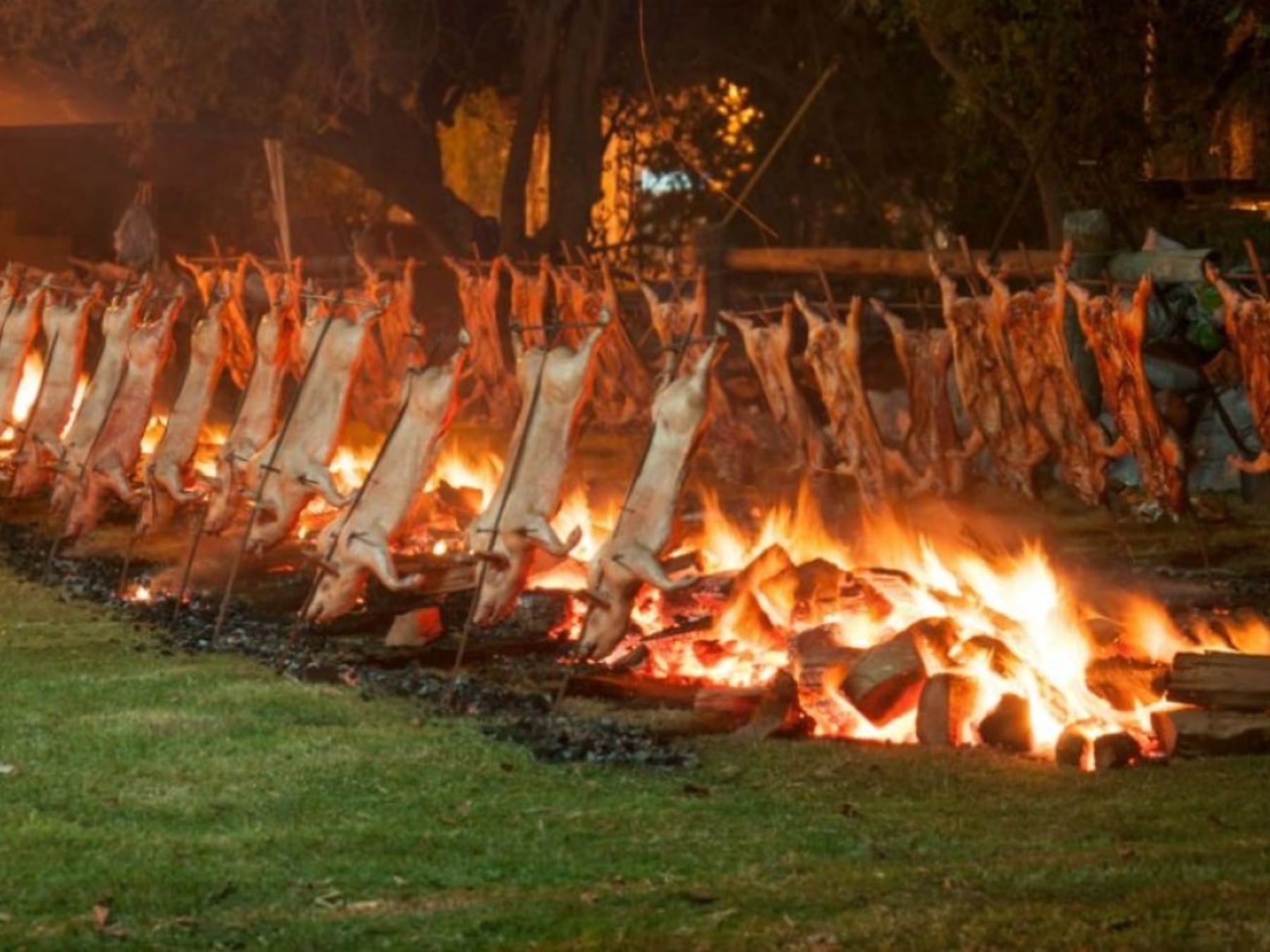 Fiestas provinciales y tradicionales convocan a recorrer la provincia de Buenos Aires entre el 10 y el 12 de octubre
