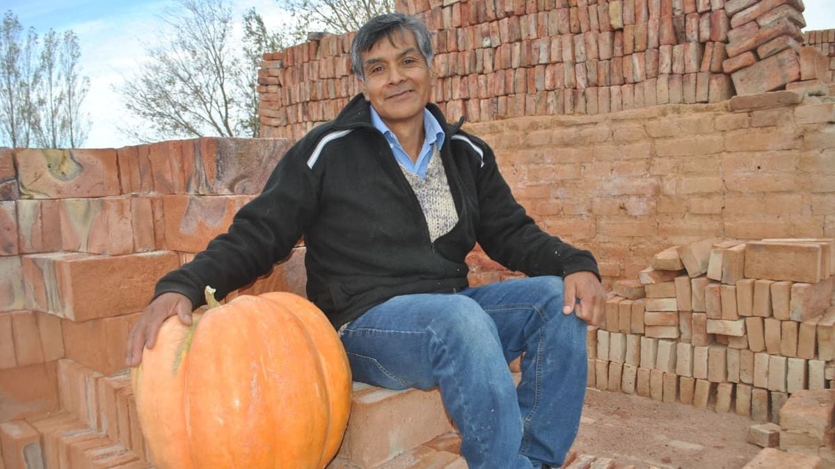 Daniel, el ladrillero de Los Hornos que cosechó un zapallo de 23 kilos y volvió a creer en la huerta
