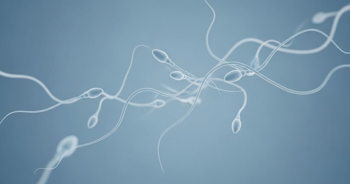 Después de la quimio, vuelve a soñar con ser padre: el primer trasplante de tejido testicular del Reino Unido reescribe la fertilidad masculina