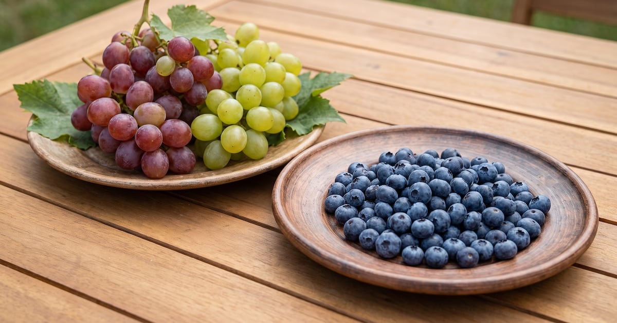 Arándanos versus uvas: la fibra como llave para entender qué fruta sube menos la glucemia