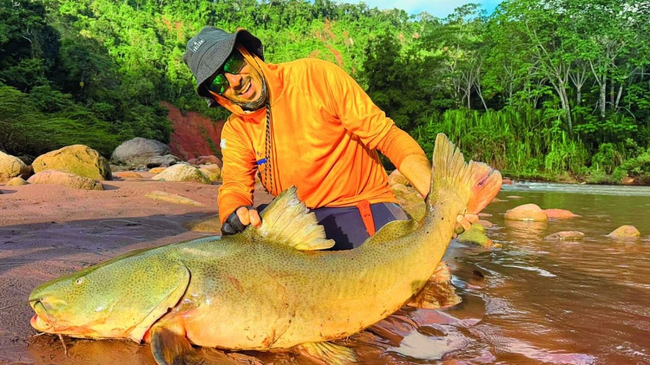 A 350 kilómetros de pesca pura: quince especies y piezas de hasta 25 kilos en un río amazónico de Bolivia
