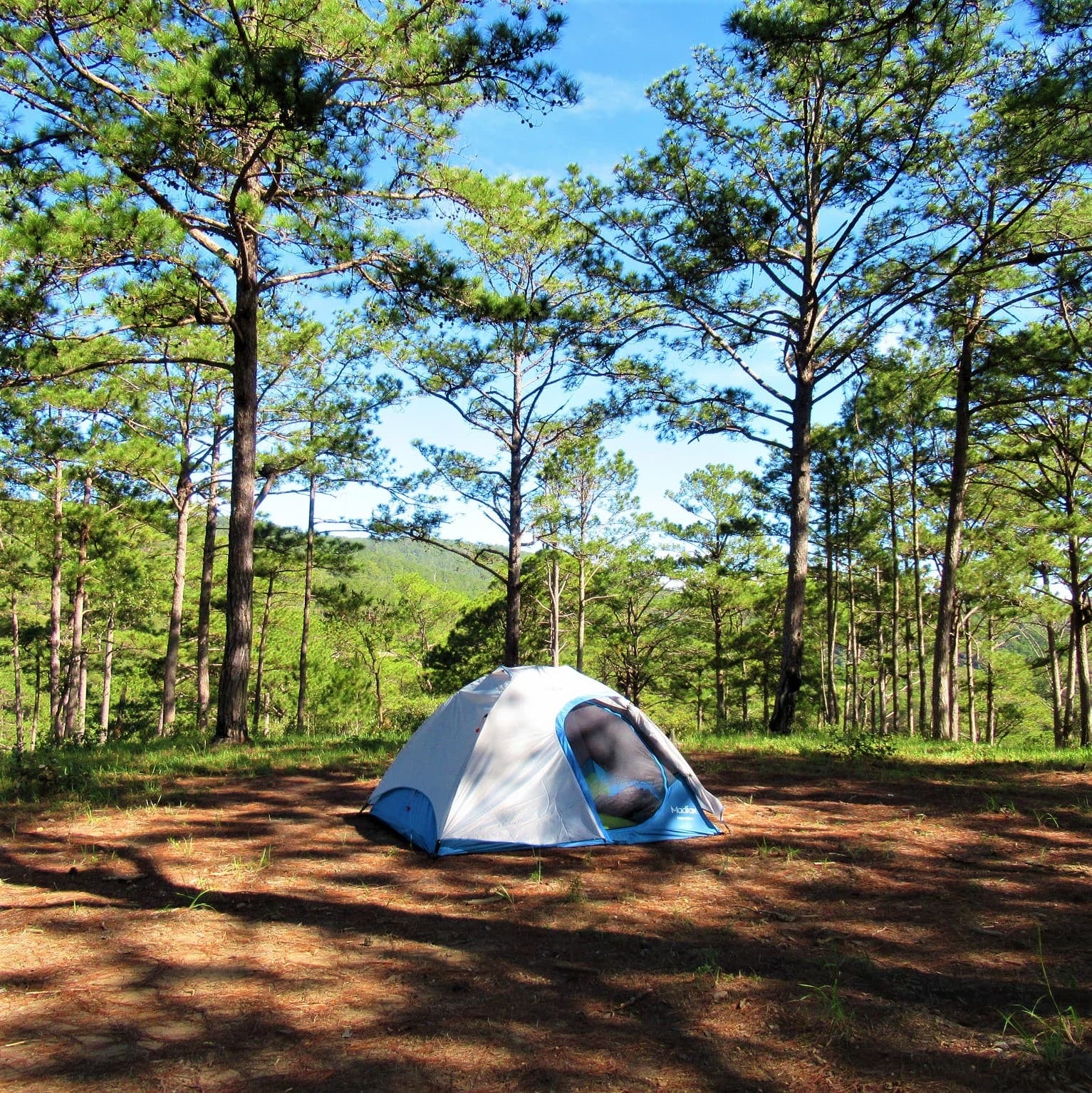 Huttopia llega a la Argentina con su primer camping en Mar Azul: cuánto cuesta y qué incluye cada parcela